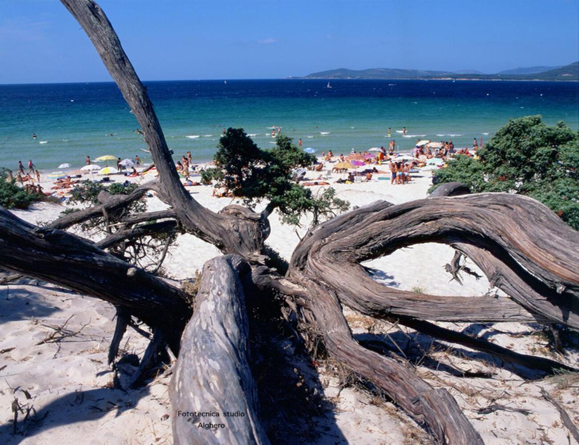 B&B Lamarina Αλγκέρο Εξωτερικό φωτογραφία